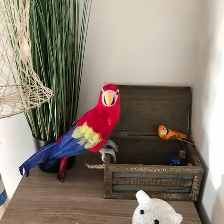 Appartement le petit bateau à Menton Extérieur photo
