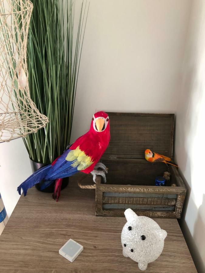 Le Petit Bateau Appartement *